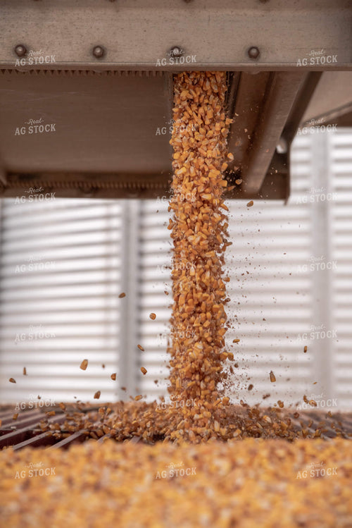 Corn Unloaded at Bin Site 76006