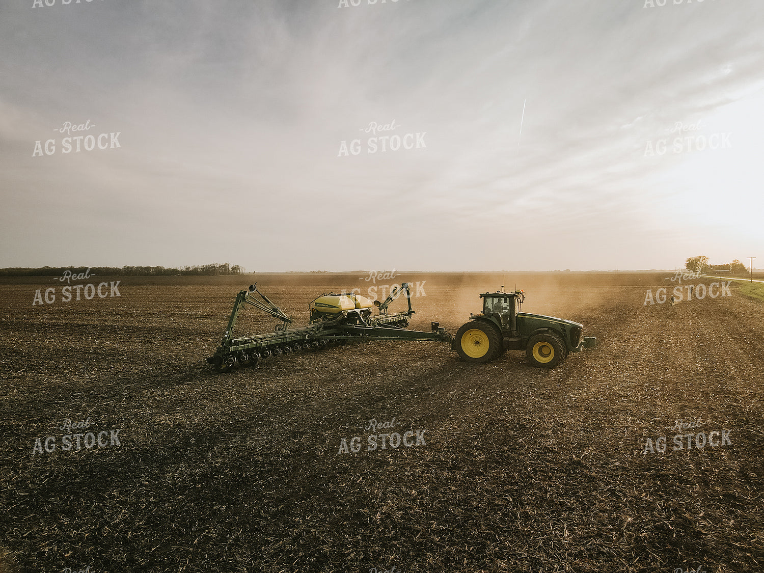 Planting 8173