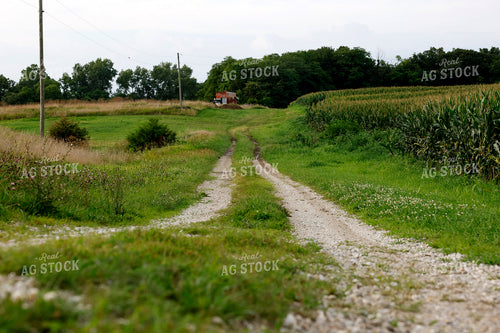 Farm Driveway 129129