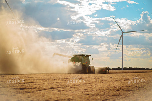 Soybean Harvest 93220
