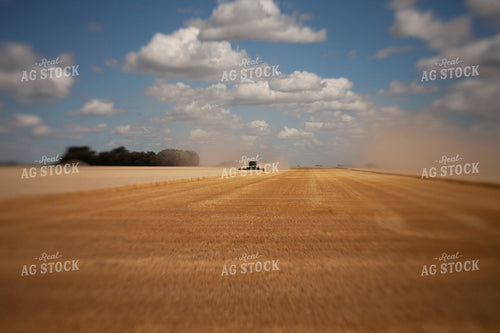 Wheat 2148