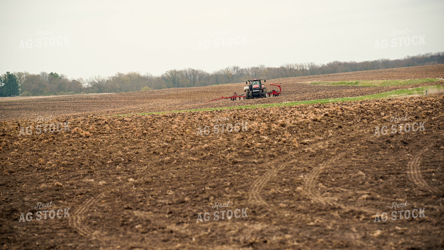 Planting into Tilled Cover Crops 25125