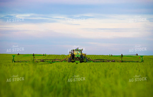 Tractor Plants into Growing Wheat Field 133000