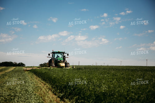 Cutting Hay 152143