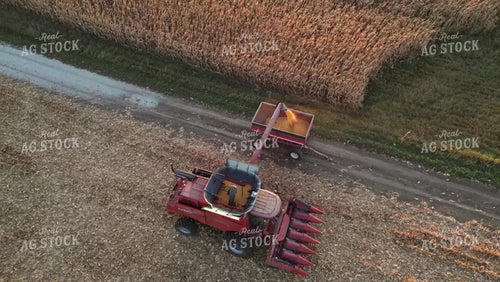 Aerial of Corn Harvest 268053