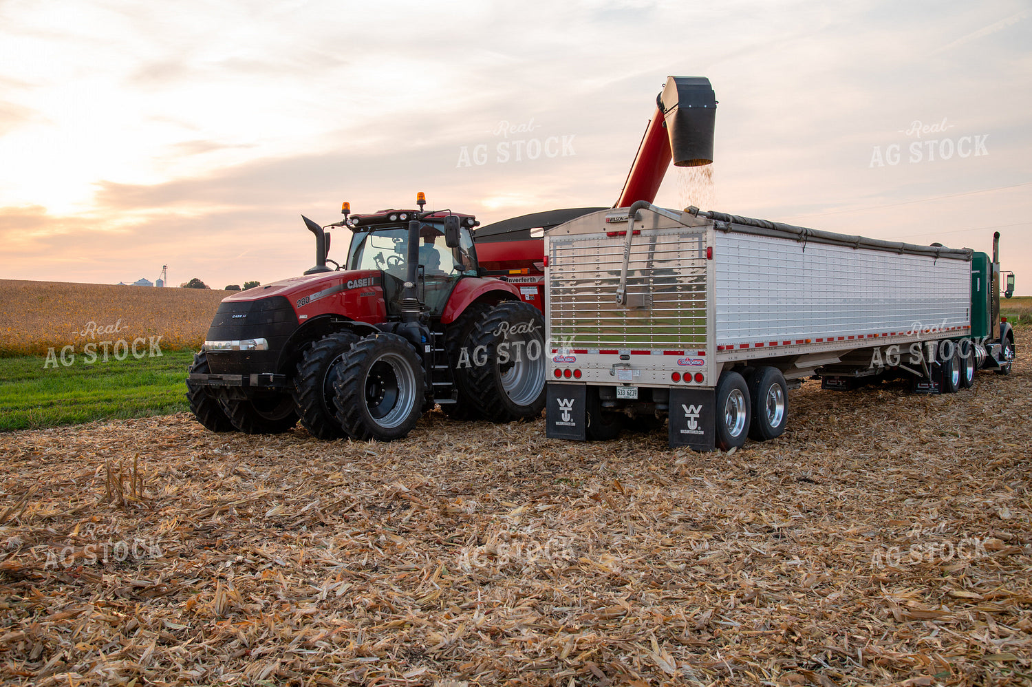 Grain Cart Unloading into Semi 25479
