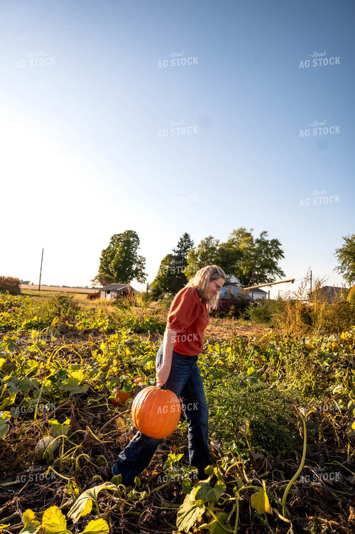 Farmer in Pumpkin Patch 115865