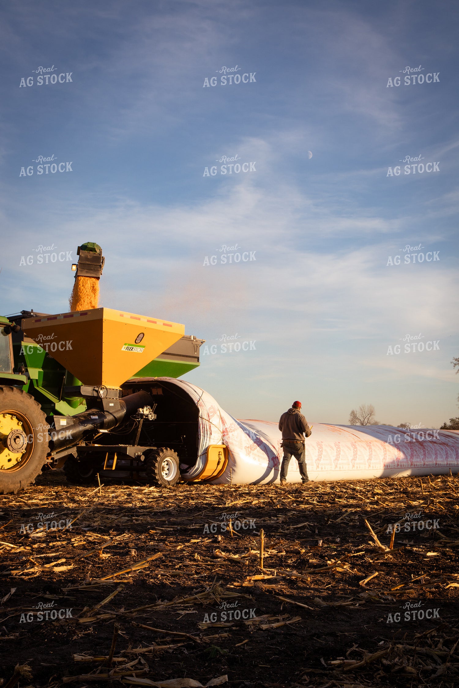 Bagging Harvested Corn 268246