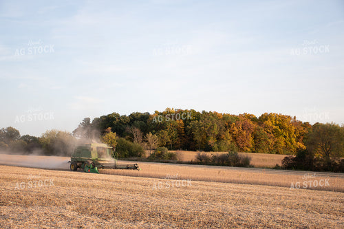 Soybean Harvest 50300