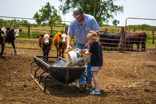 Farmer and Farm Kid Feeding Cattle 214151