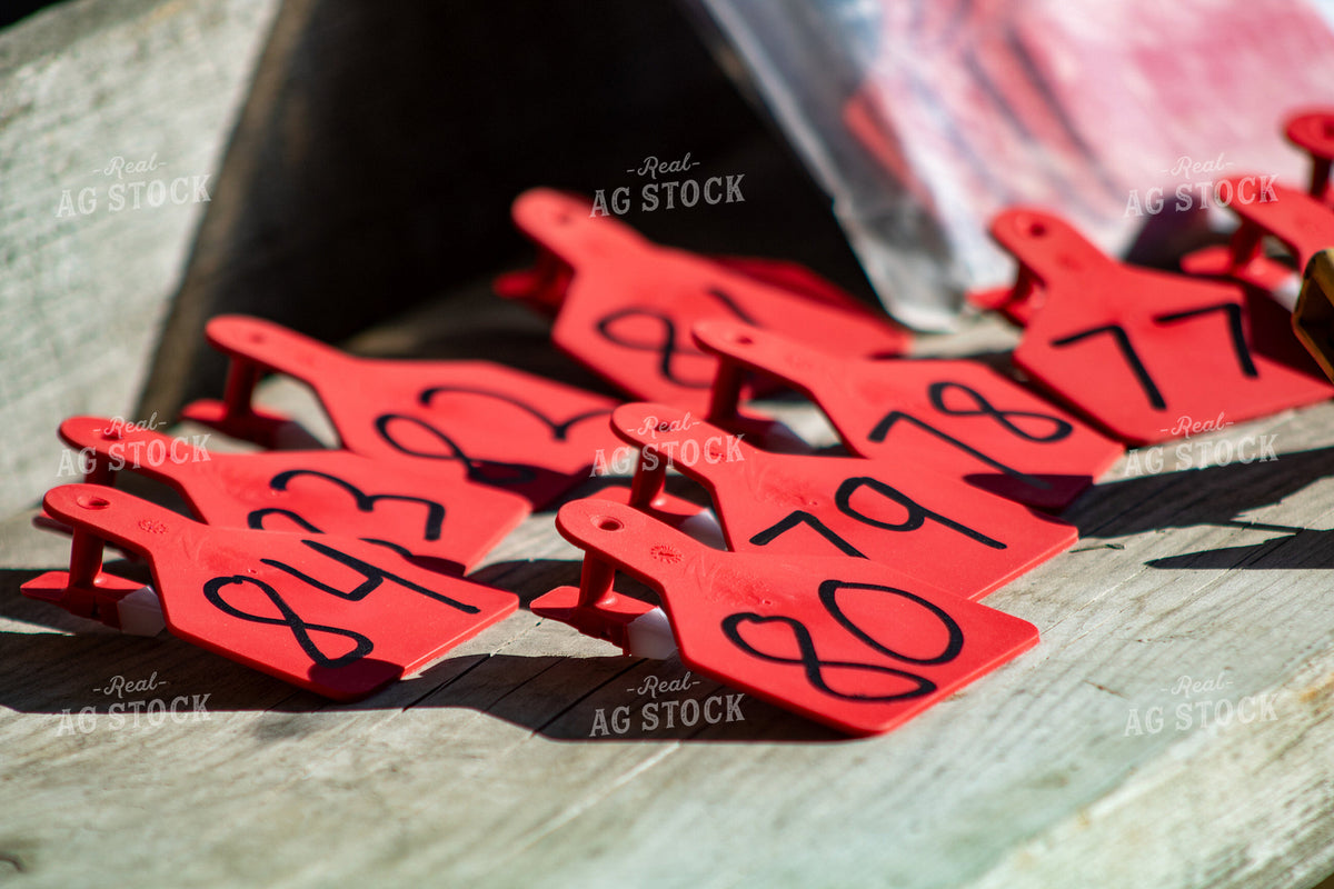 Ear Tags 214075