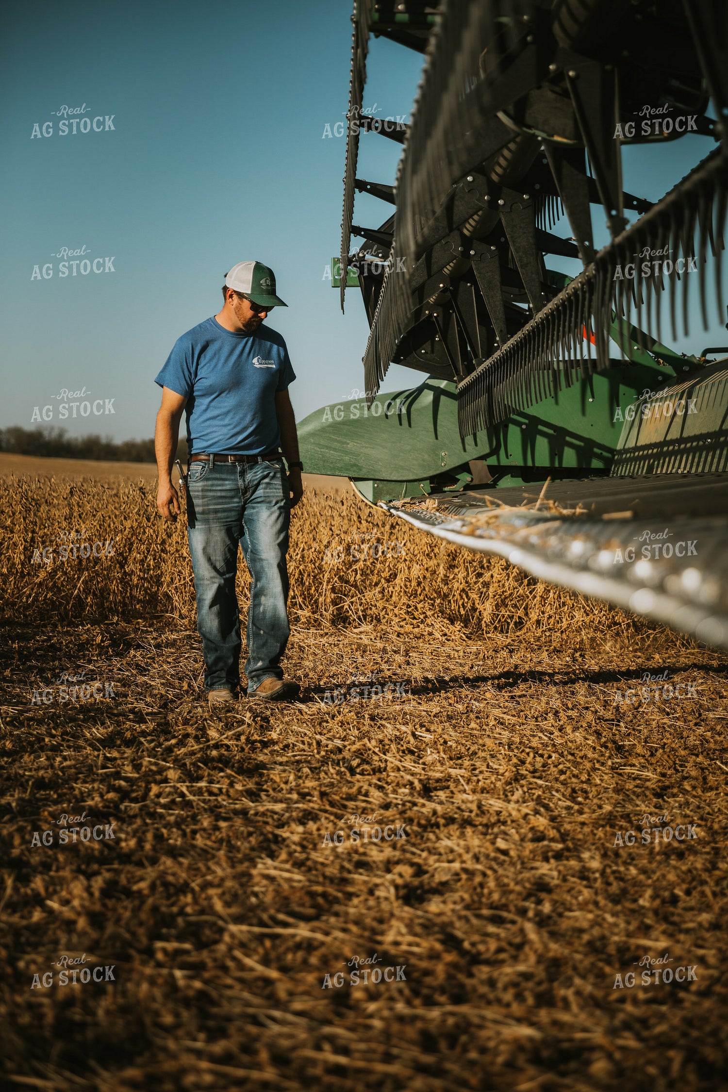 Farmer Inspecting Combine Head 7129