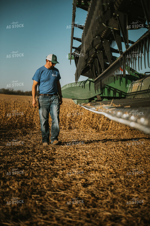 Farmer Inspecting Combine Head 7129