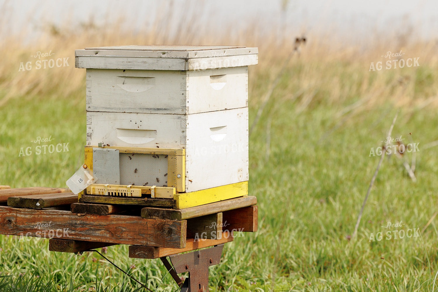 Bee Box 104025