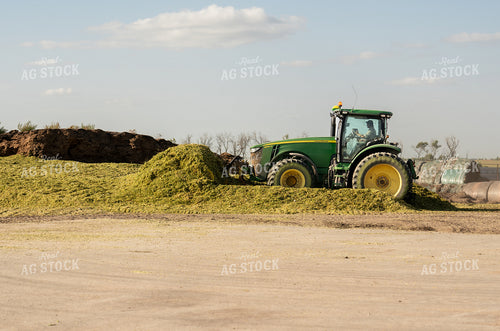 Storing Silage 185189