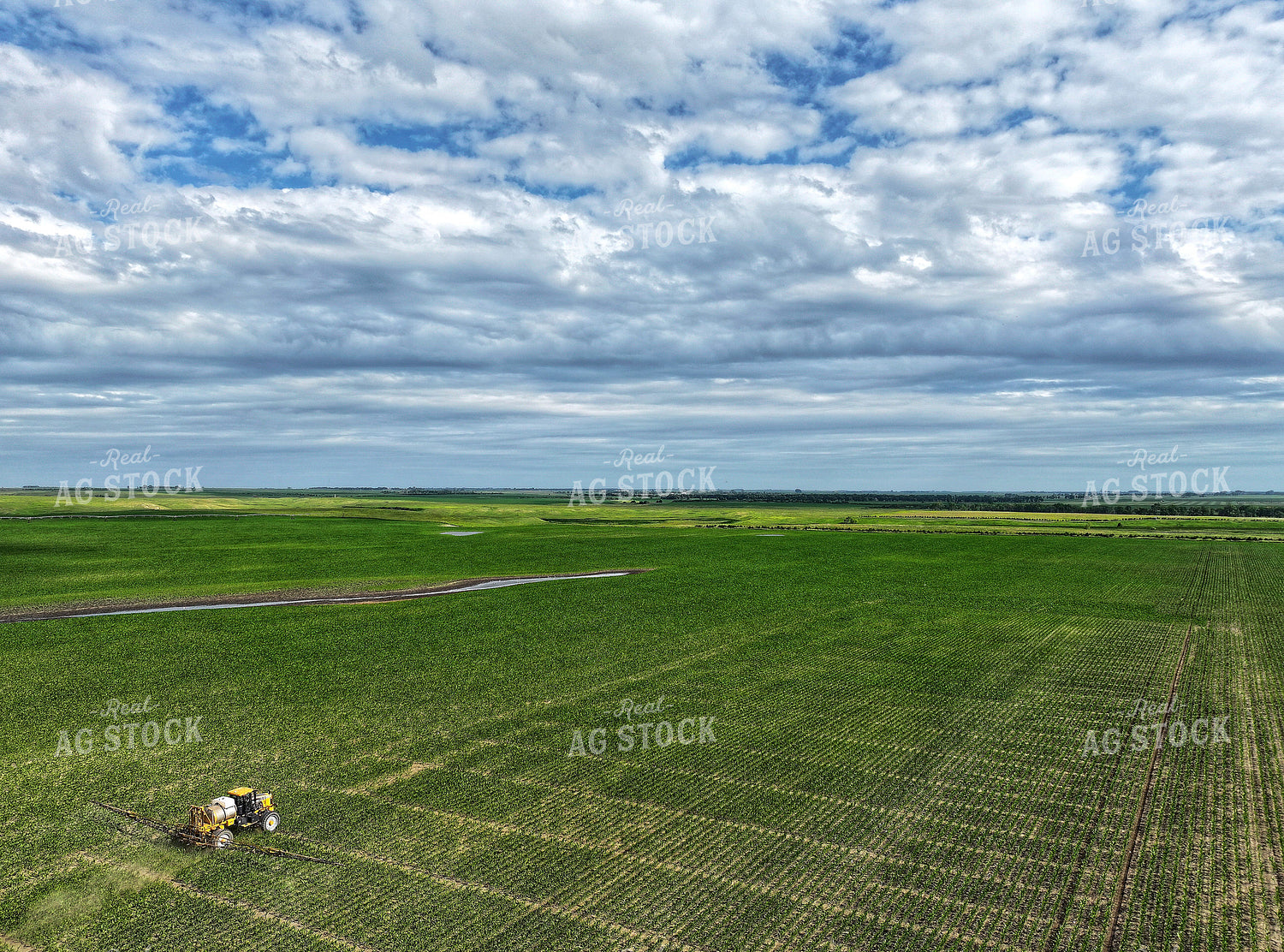 Spraying Corn 141308