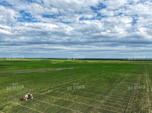 Spraying Corn 141308
