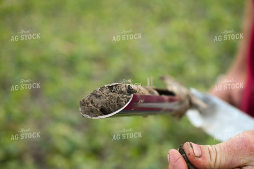 Soil Sampling 191216