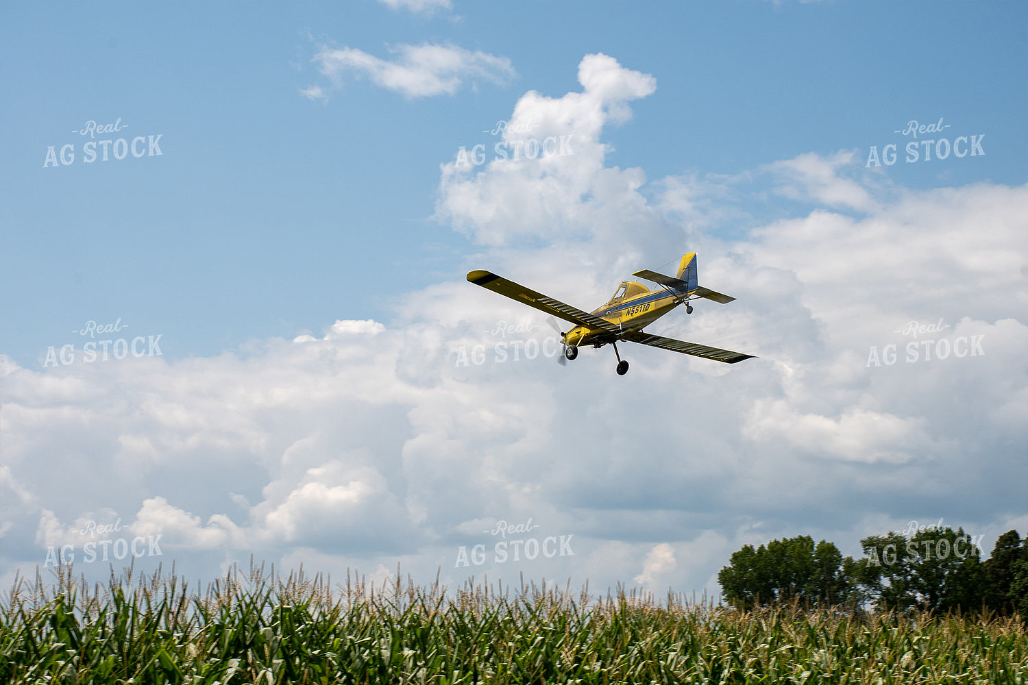 Crop Duster Spraying Corn 50147