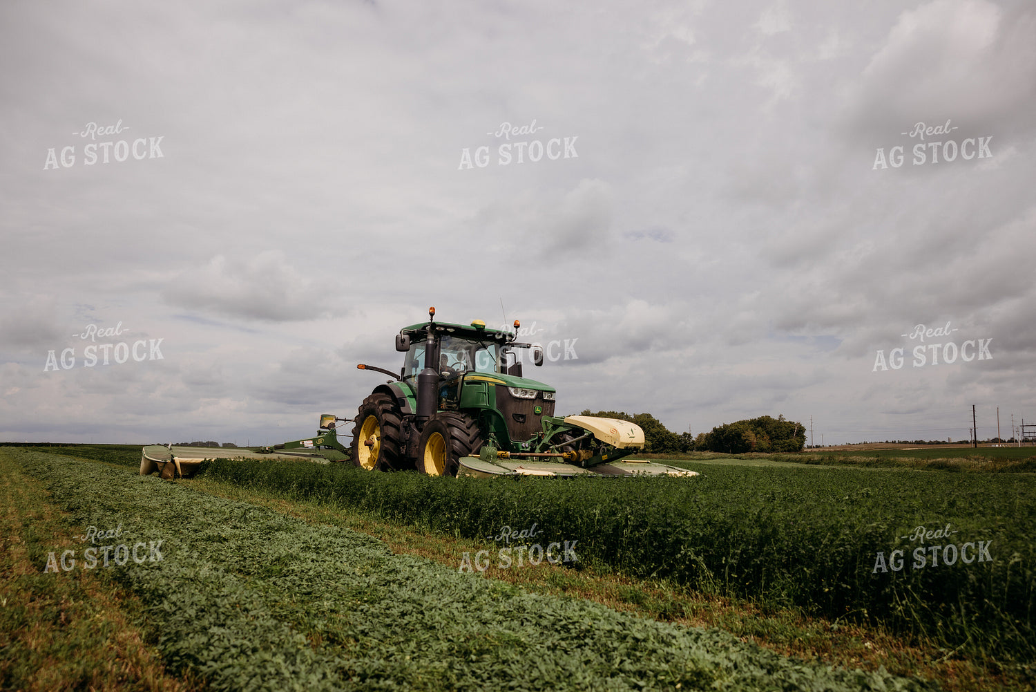 Cutting Hay 152142