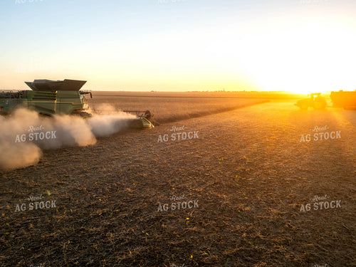 Aerial of Soybean Harvest 115617