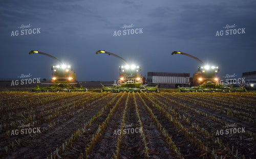 Silage Harvesters at Night 56217