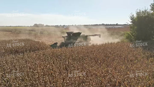 Corn Harvest 92090