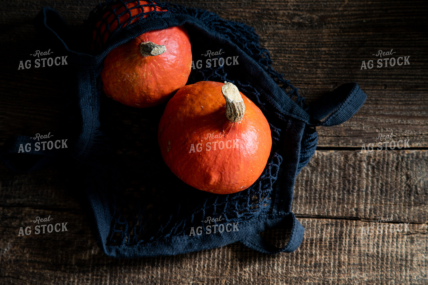 Red Kuri Squash 276065
