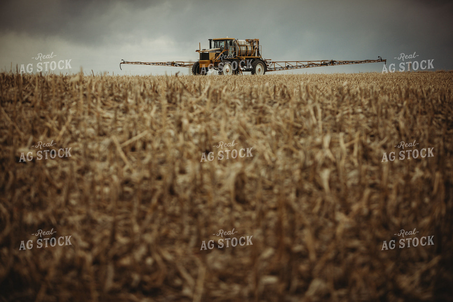 Self Propelled Sprayer Spraying in Corn Field 3663