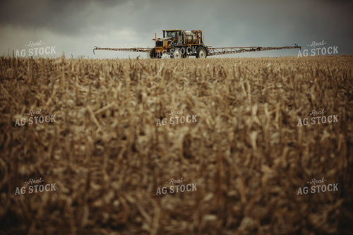 Self Propelled Sprayer Spraying in Corn Field 3663