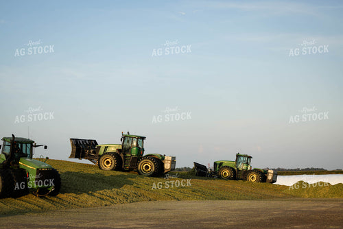 Packing Corn Silage 152964