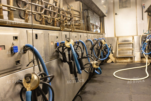 Milking Parlor Equipment Stations in a Dairy Barn 405005