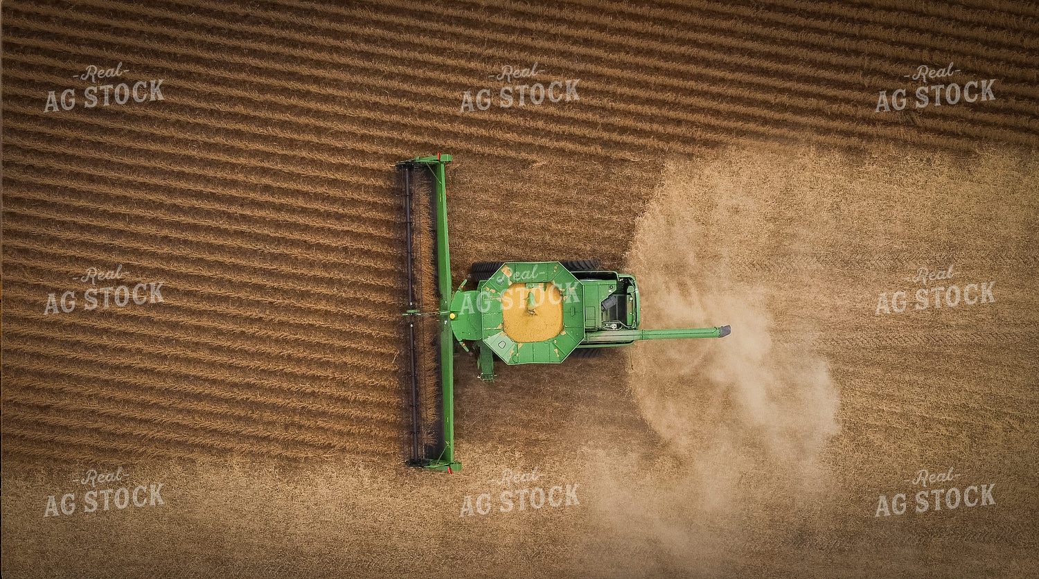Soybean Harvest 273018