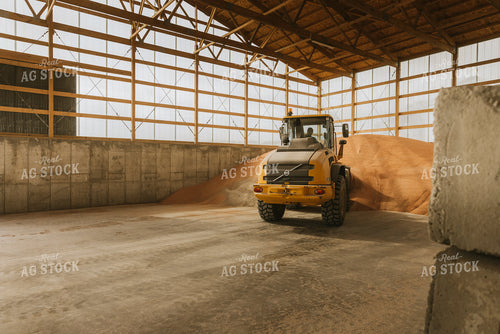 Tractor Loads Dry Feed in Storage Shed 7535