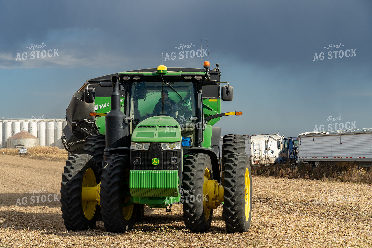 Soybean Harvest 65094