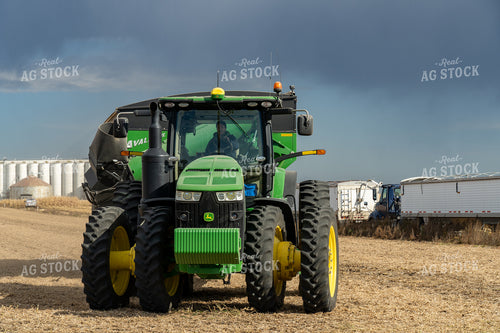 Soybean Harvest 65094