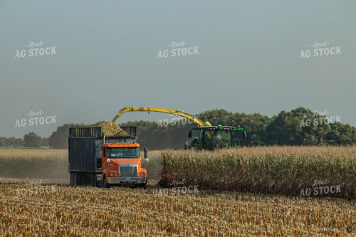 Silage Harvest 72101