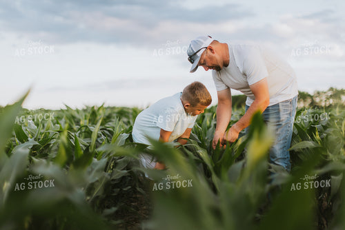 Farmer and Son Checking Corn 8801