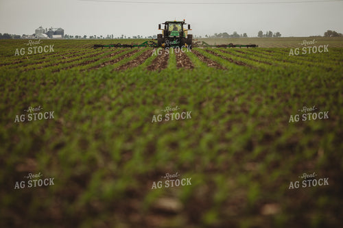 Side Dressing Fertilizer in Corn Field 5747