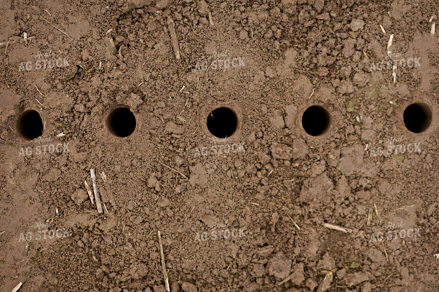 Soil Sampling 100062