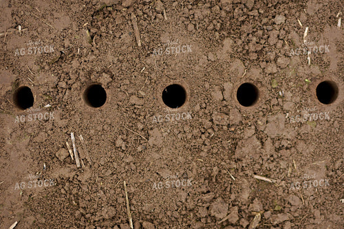 Soil Sampling 100062