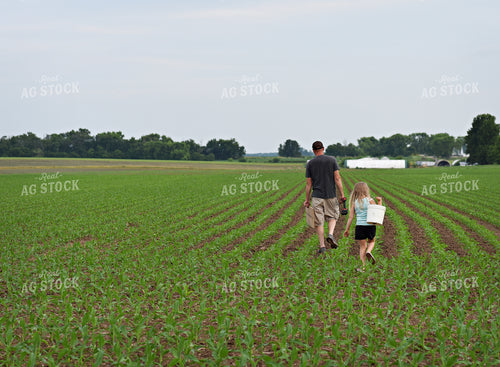 Farmer and Daughter Walking in Early Growth Corn 100051