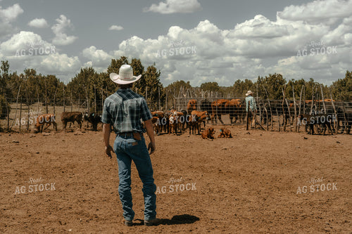 Father and Son Ranchers 58244