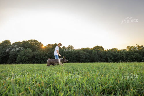 Farm Kid with Show Pig 270084