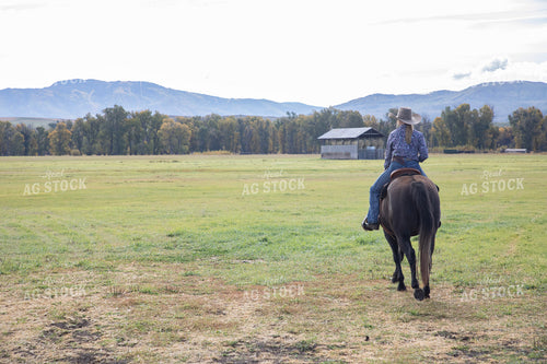 Female Rancher on Horseback 117104