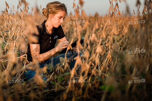 Female Agronomist on Tablet in Field 8335