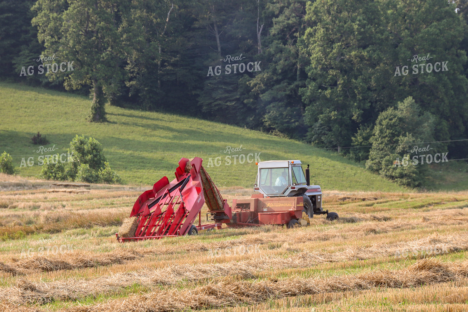 Baling Hay 52295