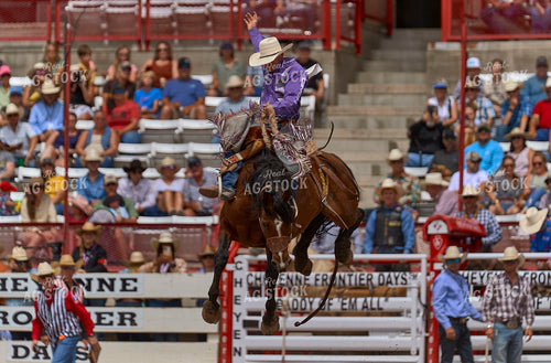 Saddle Bronc Riding 177022