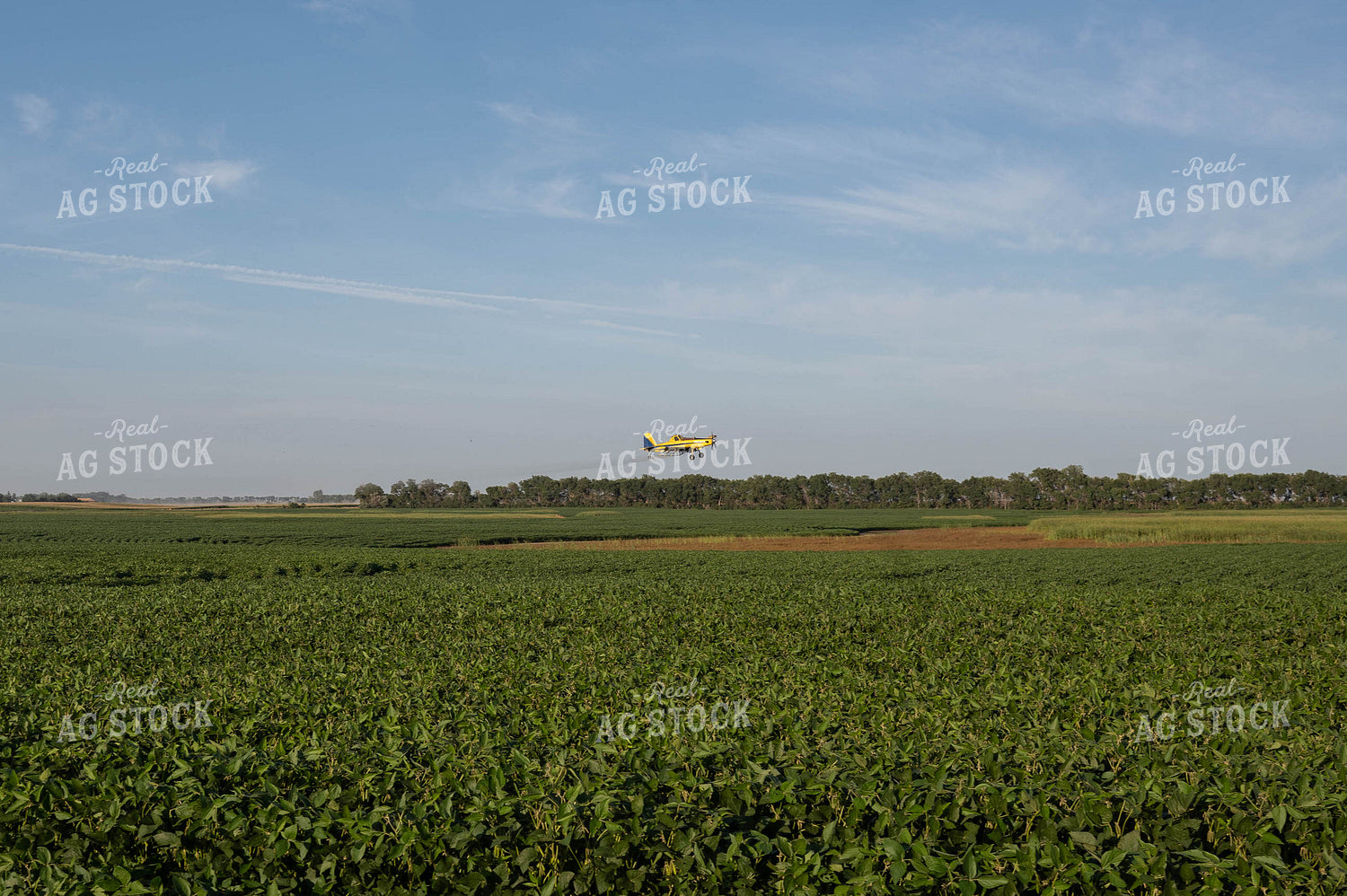 Crop Duster 185114