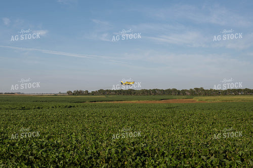 Crop Duster 185114